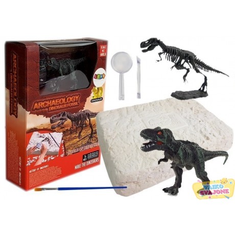 Archeologinis rinkinys dinozauro Tiranozauro Rex skeletas 